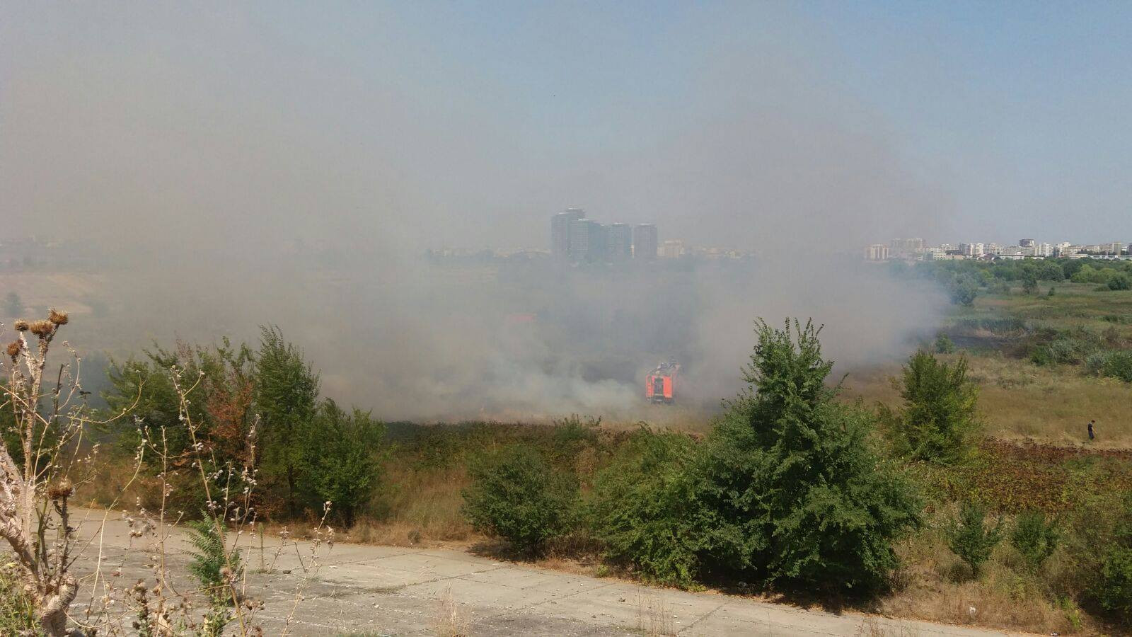 incendiu, Parcul Natural Văcăreşti, interventie