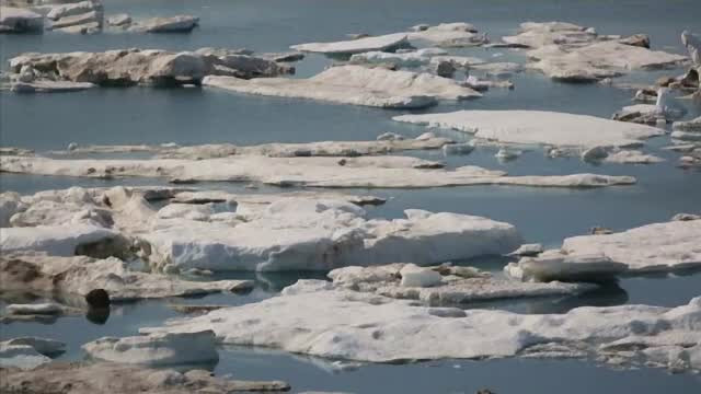 Încă un semnal de alarmă privind încălzirea globală. Gheața se topește extrem de rapid