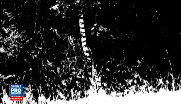 Anchetă în cazul avionului prăbuşit în judeţul Iaşi, la un show aviatic. Principala ipoteză