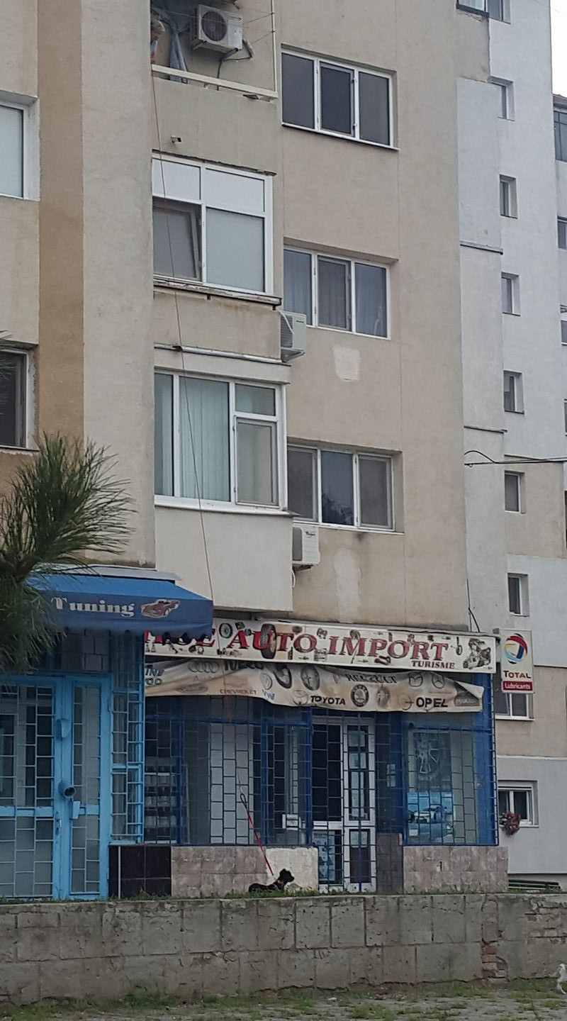 Cățel ”plimbat” în lesă de la etajul 3, de pe balcon