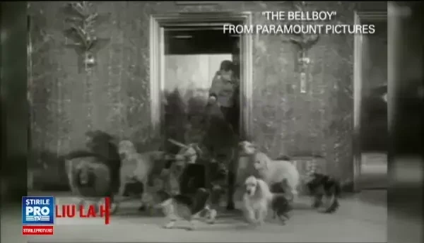 Actorul de comedie Jerry Lewis a murit la 91 de ani