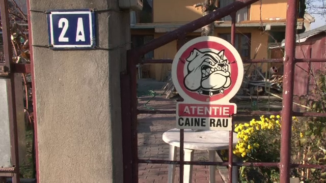 Copil ucis de câine Amstaff. Proprietarul, acuzat de ucidere din culpă