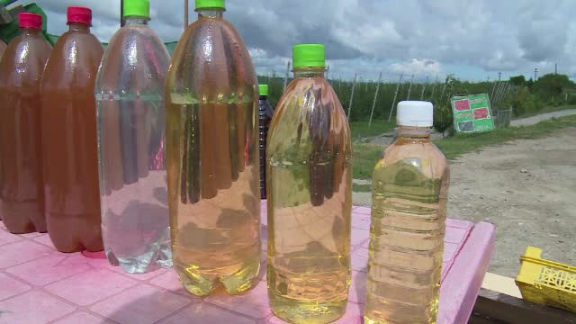 De ce e bine să bem tărie după o masă copioasă. Cantitatea recomandată de medici