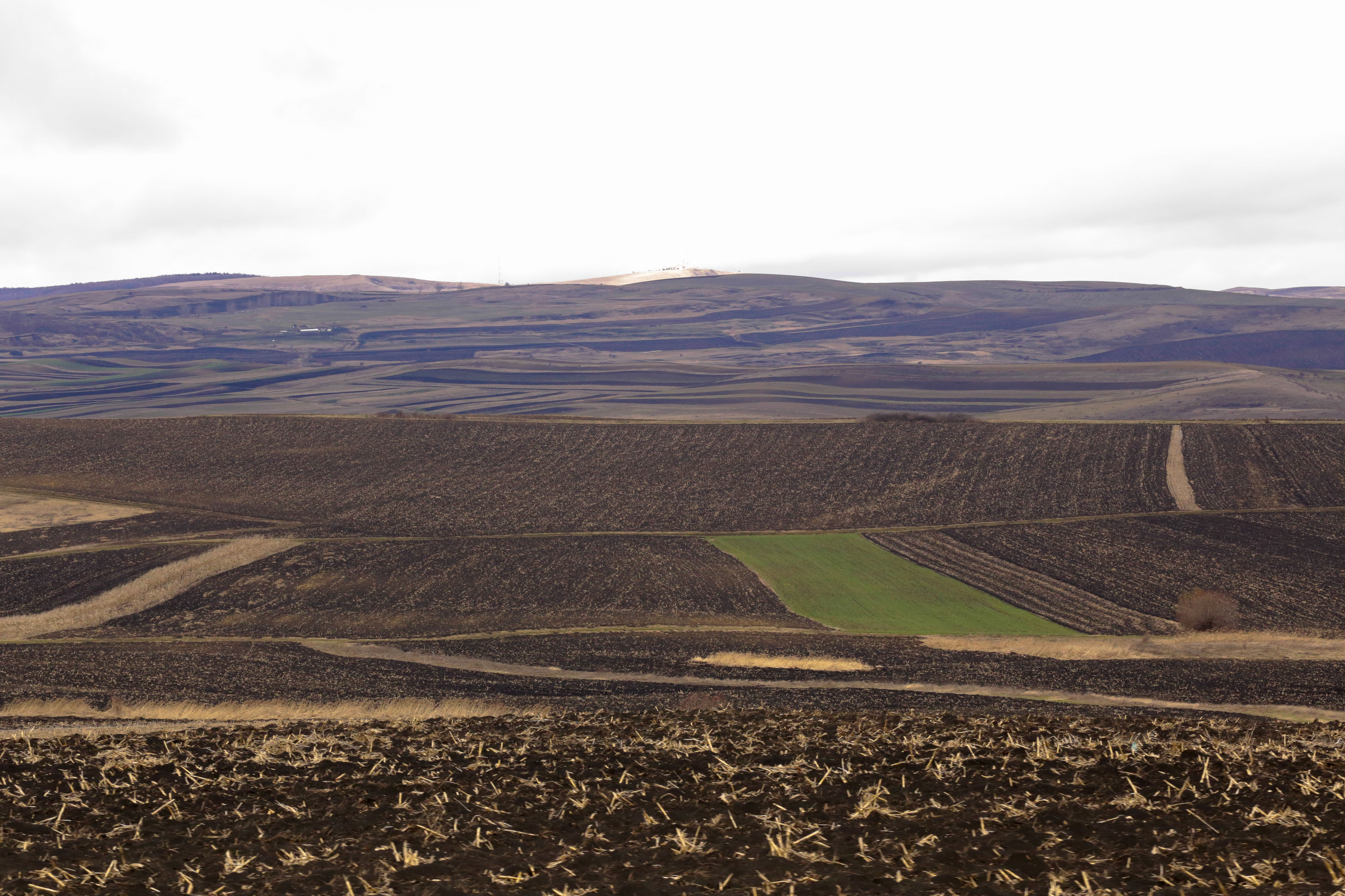 Adevărul din spatele recoltelor record anunțate de Guvern în acest an