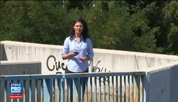 Iohannis, întâlnire cu Macron: România îşi doreşte să devină un membru re-fondator al UE