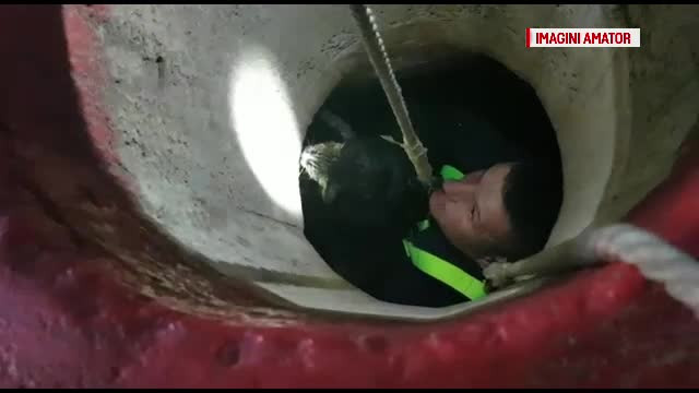 Pisică salvată din puț de un militar. La final, selfie cu motanul