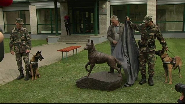 Statuie din bronz, ridicată în memoria unui câine