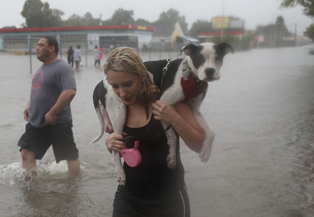 Catastrofă în Texas, după trecerea uraganului Harvey