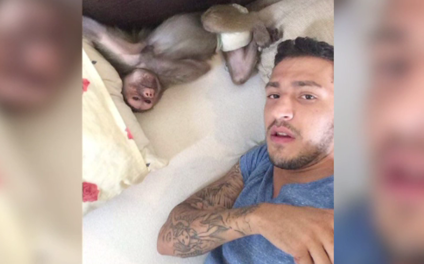 Poveste de dragoste încheiată la poliţie. Româncă sechestrată şi torturată de un iranian cunoscut pe internet