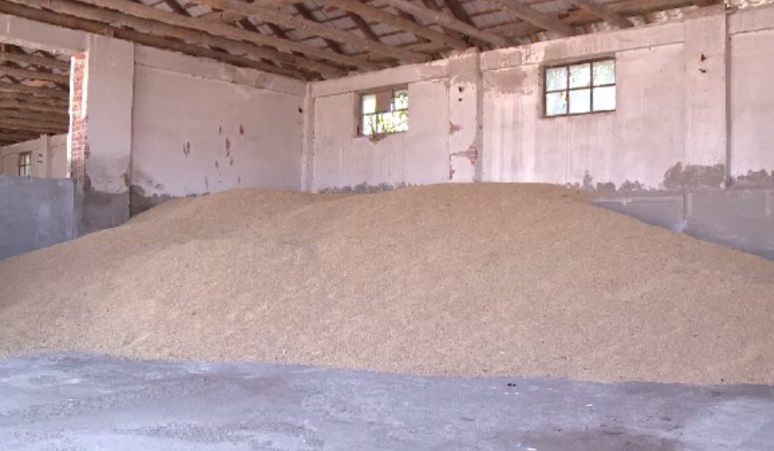 Milioane de tone din recolta României, trimise în Europa sau în țările arabe