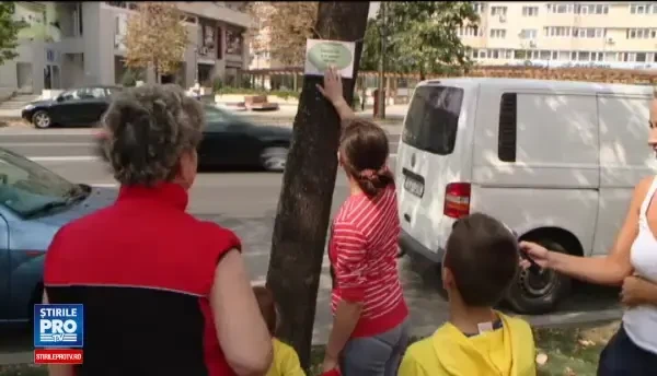 Îngrijeşte-mă, m-au năpădit ciupercile. Copacii din Iaşi, plini de mesaje inedite