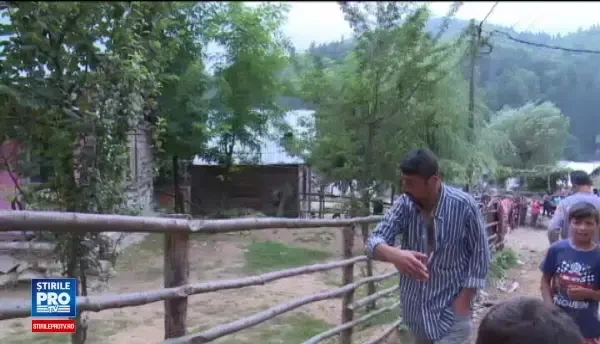 Lăsați fără ajutoare sociale pentru că nu au făcut muncă în folosul comunității