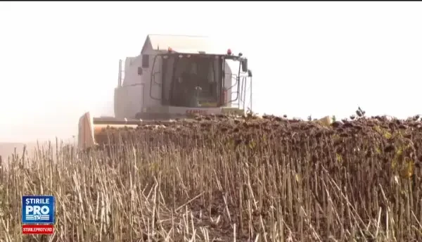 Recoltele bune din acest an, exportate în mare parte în Europa și țările arabe