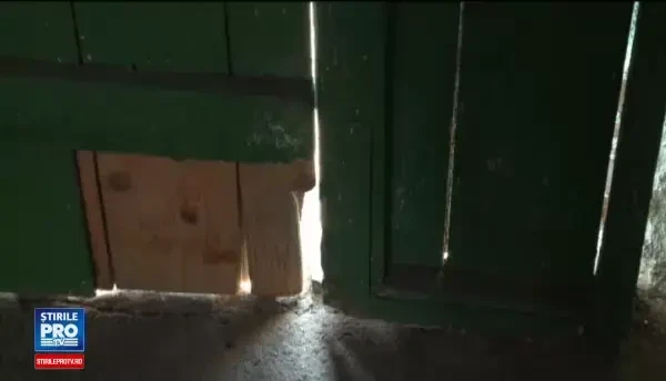 Bătut și jefuit de doi tineri chiar lângă casă. Ce aflaseră tâlharii despre bărbat