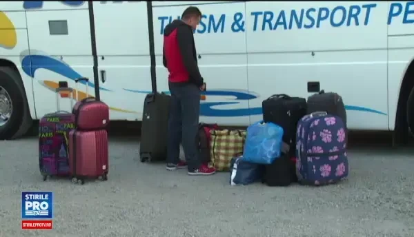 Românii preferă să culeagă viile italienilor: ”Se fac bani mai ușor”. Cât câștigă