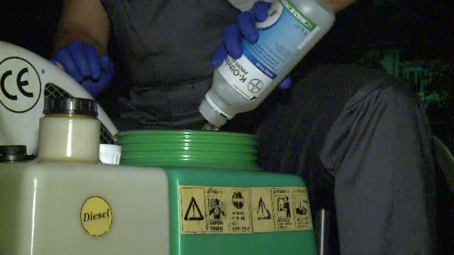 Dezinsecție la finalul verii în Sectorul 1 al Capitalei. Explicația autorităților