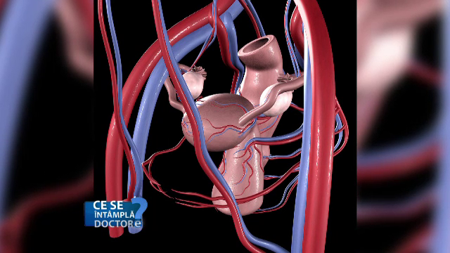 Cum se poate trata fibromul uterin, afecțiunea care predispune la infertilitate