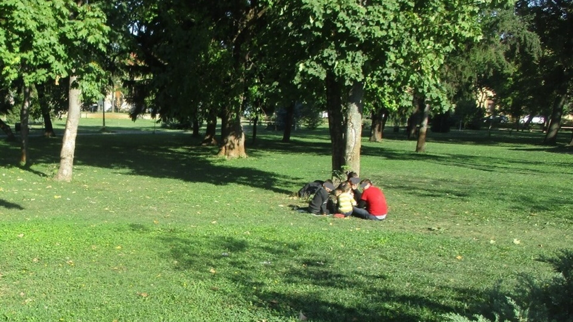 Aproape 30 de irakieni, găsiţi în parcurile din Timişoara