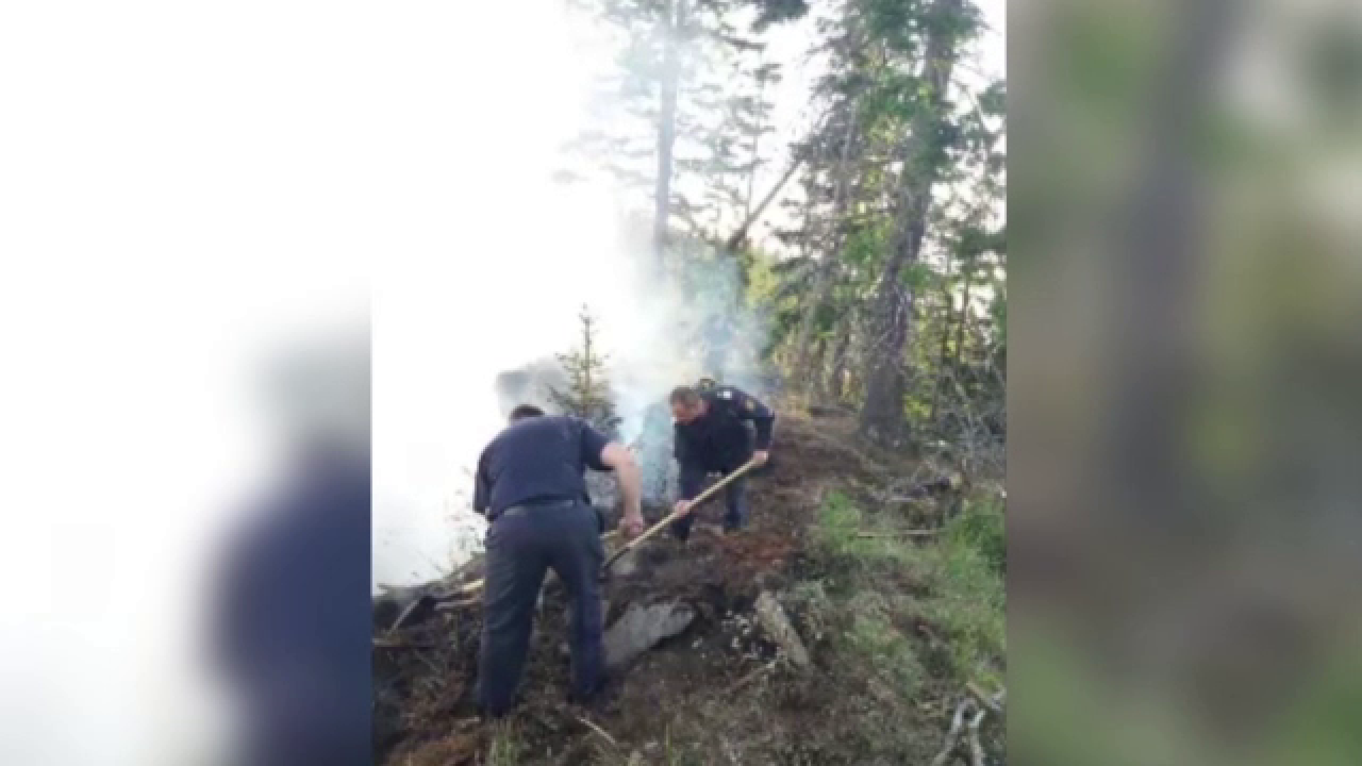 Incendiul care a cuprins pădurea din Bistrița s-a extins pe 8 hectare