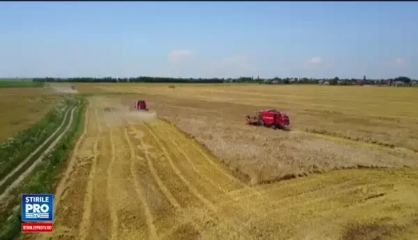 Străinii, stăpâni pe 40% din terenul agricol de la noi. Avertismentul CE