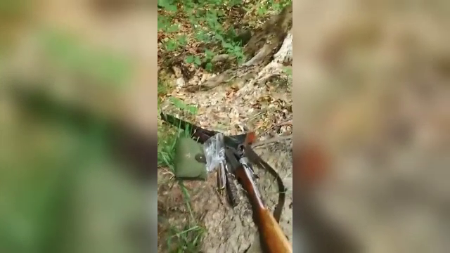 Un jandarm şi-a împuşcat, din greşeală, un coleg în timpul unei partide de vânătoare