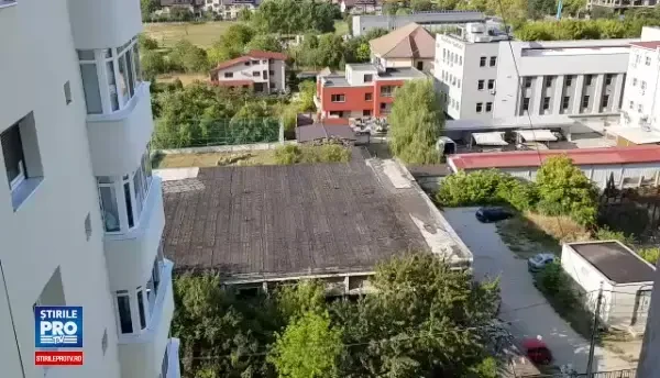 Zeci de oi au apărut în curtea unei moschei din Capitală