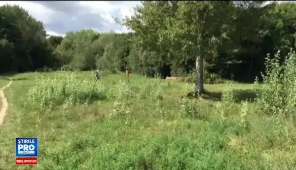 Francezii lipsiţi de inhibiţii se pot