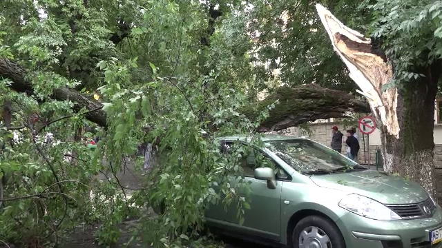 O noapte furtunoasă, în toată ţară. Zeci de copaci, puşi la pământ de vijelie, au distrus mai multe maşini