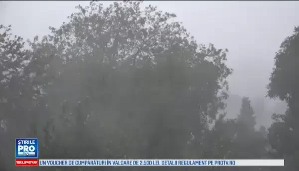 O noapte furtunoasă, în toată ţară. Zeci de copaci, puşi la pământ de vijelie, au distrus mai multe maşini