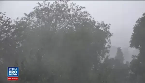 O noapte furtunoasă, în toată ţară. Zeci de copaci, puşi la pământ de vijelie, au distrus mai multe maşini