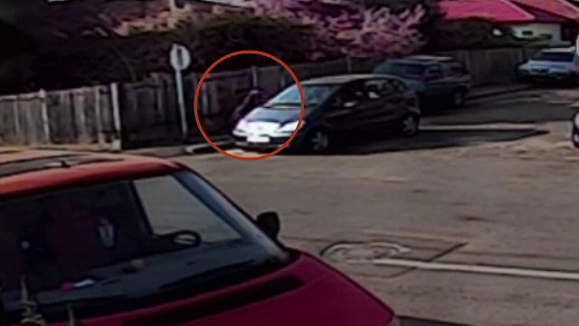 Patru căței băgați într-un sac, abandonați pe stradă de două fete