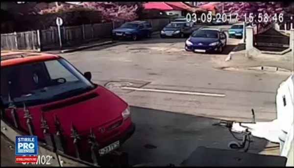 Patru căței băgați într-un sac, abandonați pe stradă de două fete