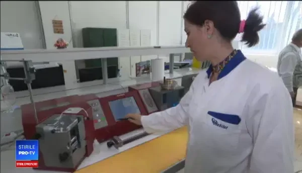 Soiurile hibrid, de trei ori mai rezistente, la care lucrează cercetătorii români