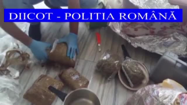 Reţea de traficanţi de droguri, la Galaţi. Cum i-a prins poliţia