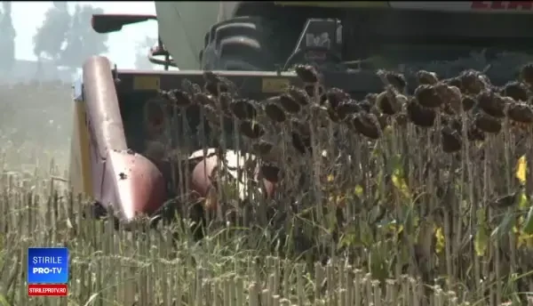 Fermierii au început să-şi facă cooperative. Ce le dau statul şi UE