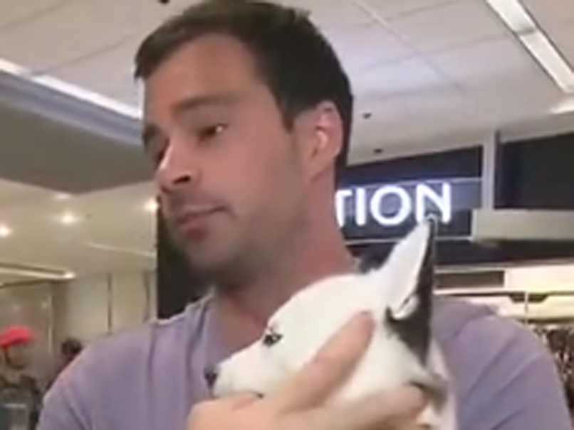 Un american a preferat să înfrunte Uraganul Irma, decât să-și abandoneze câinele