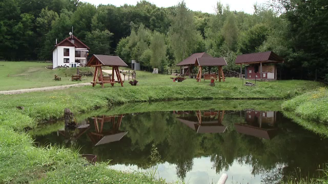 Mâncare tradițională, animale sălbatice și cel mai înalt brad din țară. Unde se află satul