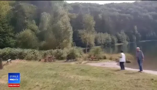 Soarta ursoaicei care a sărit să își apere puiul din calea unor turiști inconștienți