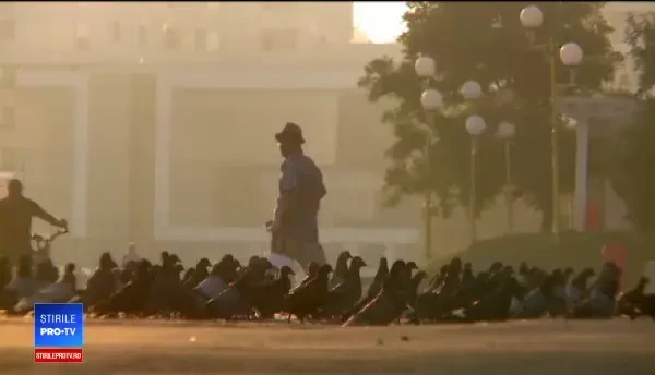 Festivalul borșului de pește din Deltă: cum se prepară și cu ce se servește