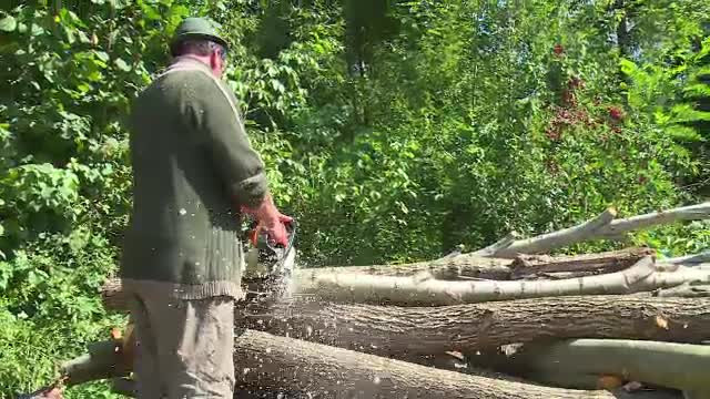 A murit zdrobit de un copac sub ochii fiului său