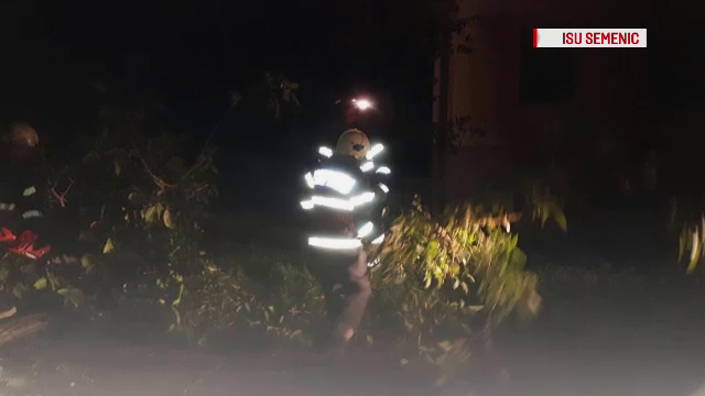 Zeci de copaci, doborâți din cauza unei vijelii