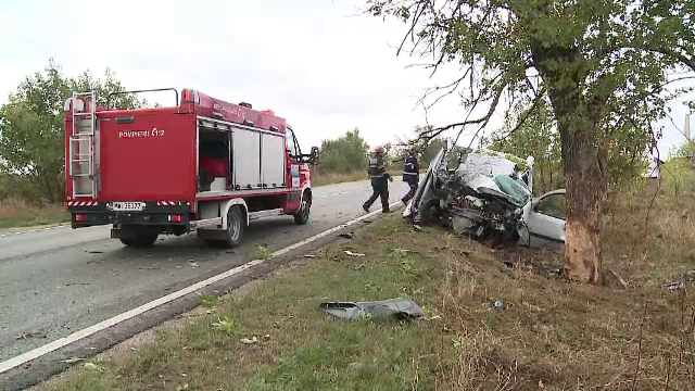 Un șofer din Arad s-a răsturnat luni cu autoturismul, iar marți l-a izbit de un copac