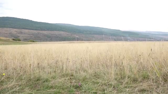 Rămăşiţele unui bărbat, dat dispărut în urmă cu două luni, au fost găsite