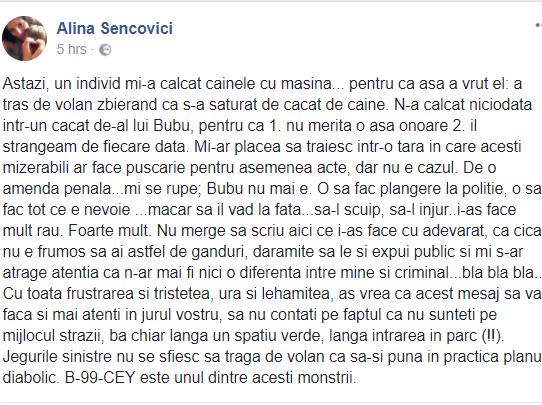 Incident șocant relatat pe Facebook: câine călcat intenționat cu mașina în București