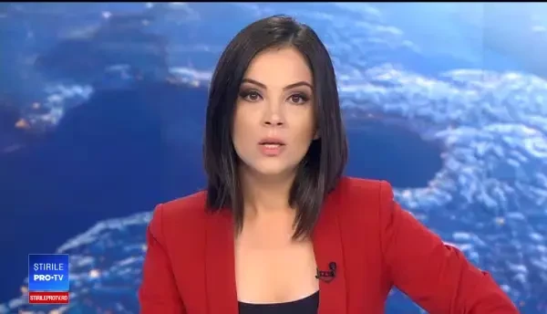 Zeci de copaci, doborâți din cauza unei vijelii