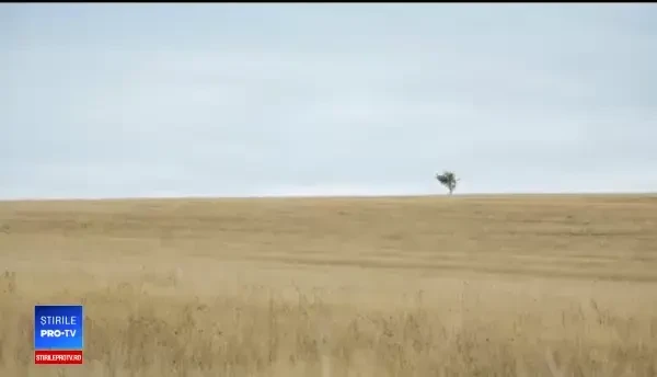 Rămăşiţele unui bărbat, dat dispărut în urmă cu două luni, au fost găsite