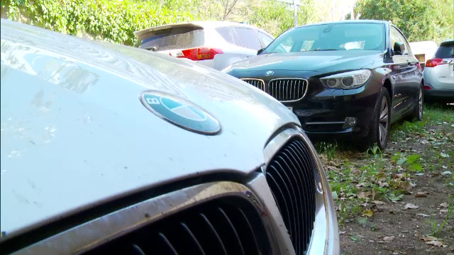 spalare de bani, infractiune, perchezitii, valuta, casa valutara, dragonul rosu,