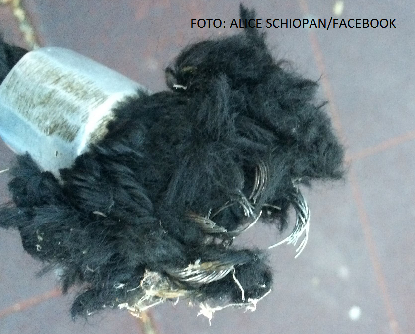 Mama fetei care s-a lovit la coloană în Parcul Tei. ”Este speriată şi are dureri”