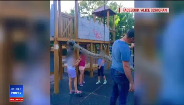 Mama fetei care s-a lovit la coloană în Parcul Tei. ”Este speriată şi are dureri”