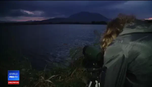 Bird watching la Brașov. Spectacolul oferit de păsările care pleacă spre țările calde